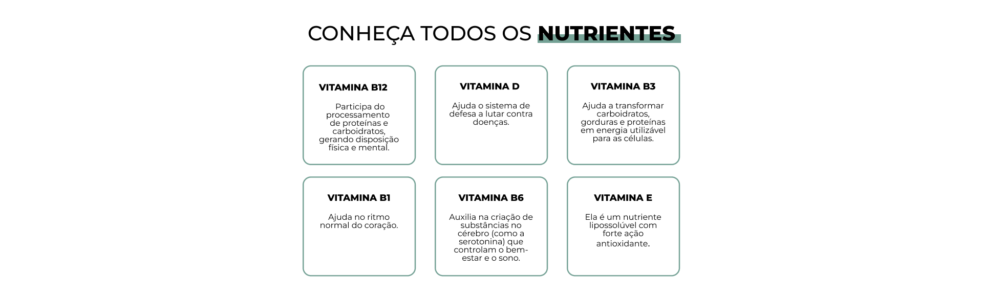 Componentes do Amaze